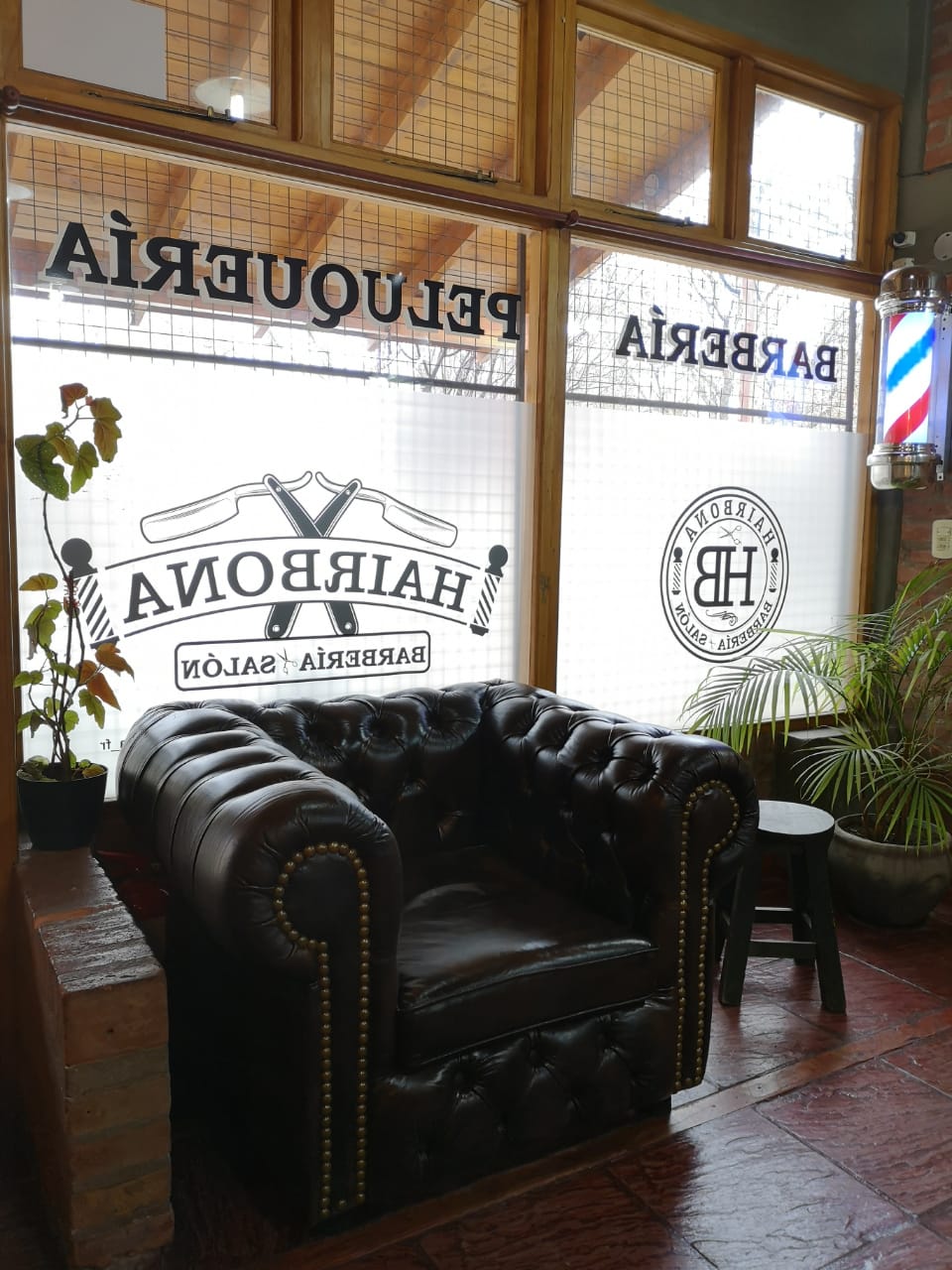 Sillón Chesterfield 1 Cuerpo Cuero 100% Vacuno Esfume